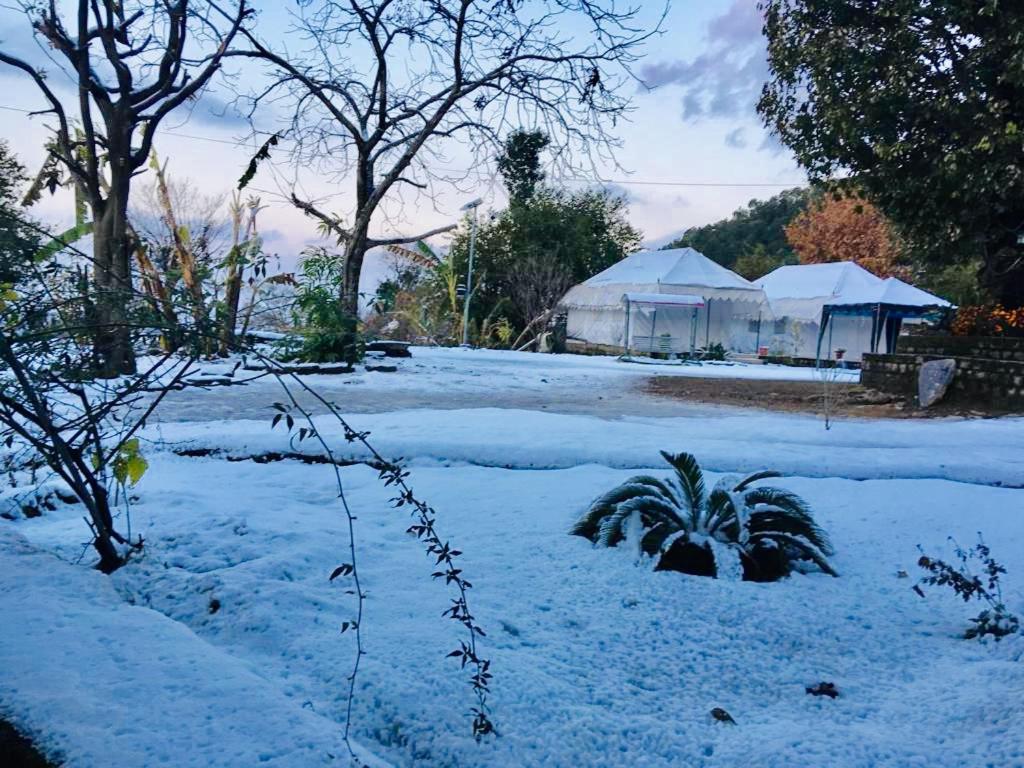 Tatva Bir Tents And Hotel Kangar Экстерьер фото